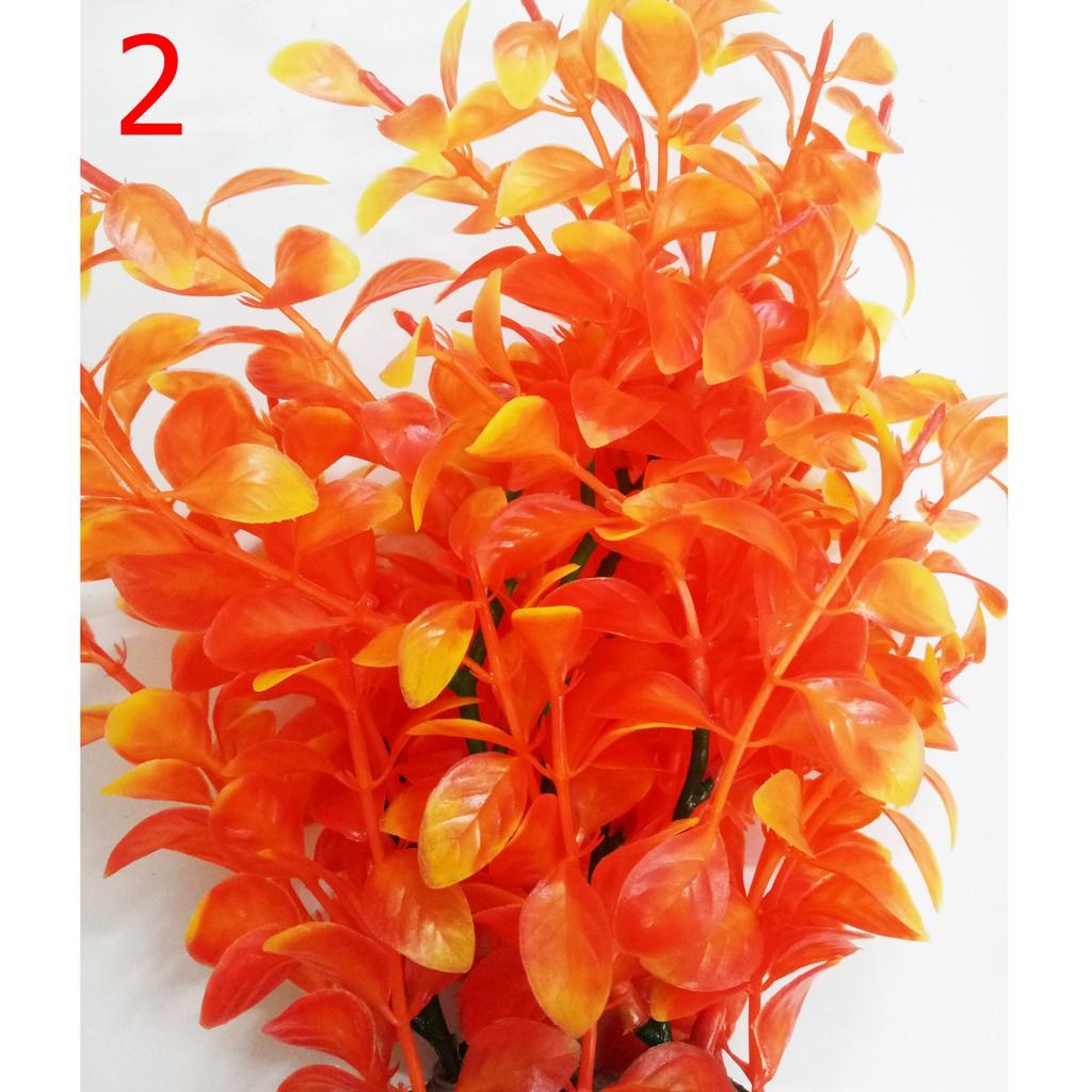 Cây Trang Trí Bể Cá Size Lớn - Đồ Trang Trí Hồ Cá