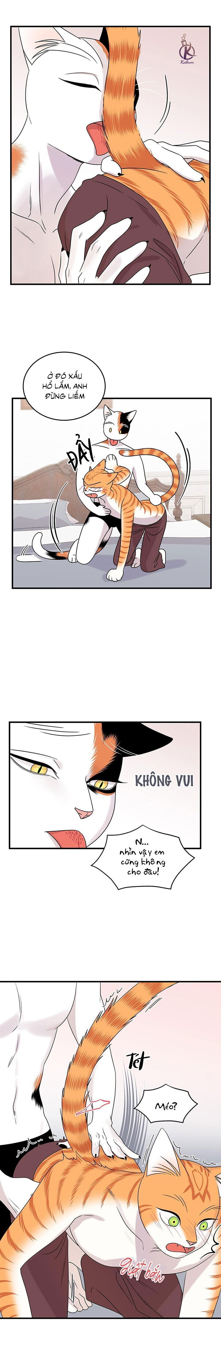 dự án xanh chapter 48 5