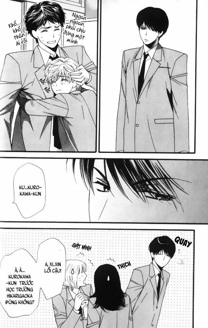 neko neko honey chapter 1 31