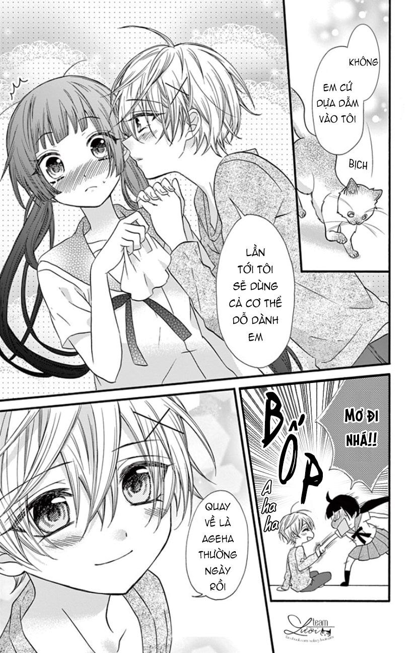 chàng rể giả nhân giả nghĩa chapter 19 24