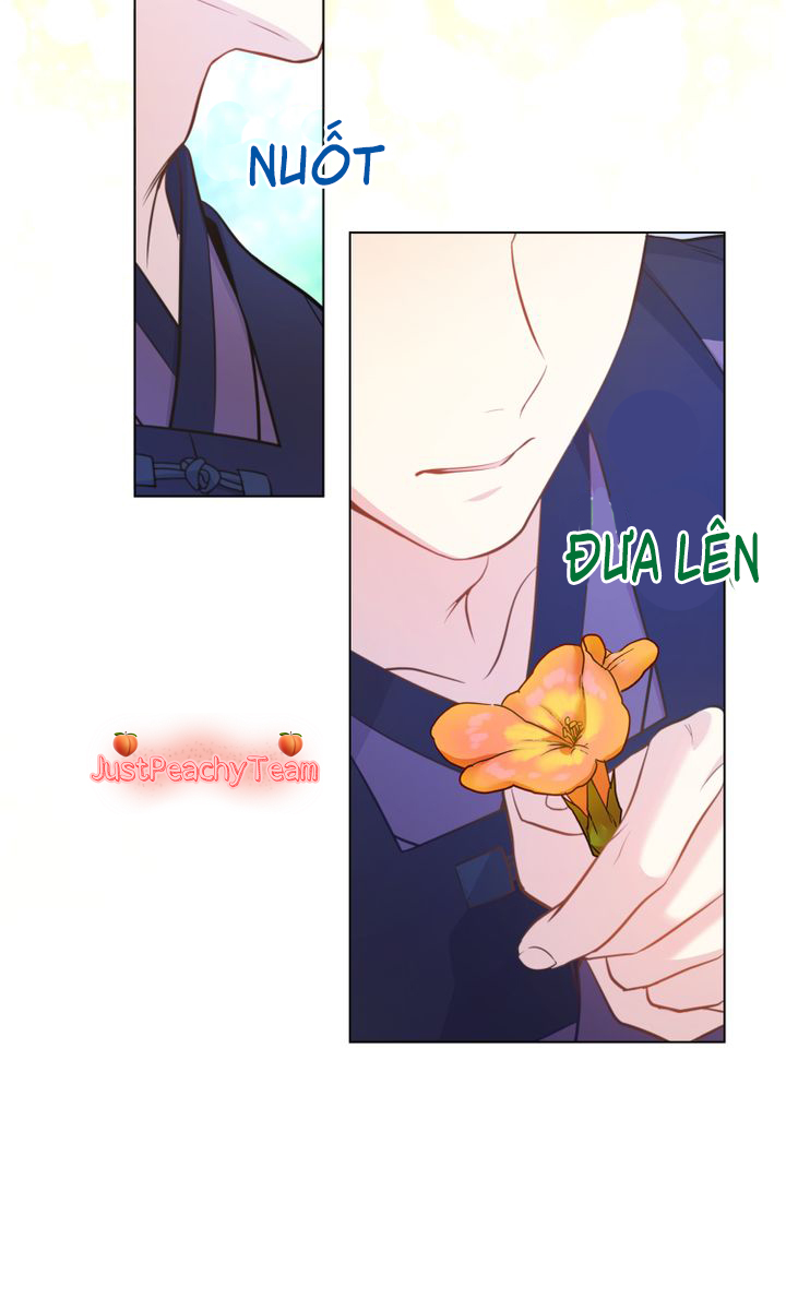 khi những nụ hoa nở rộ chapter 2 47