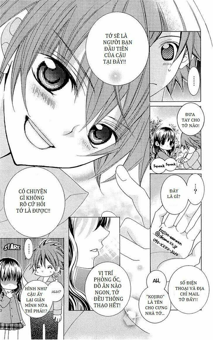 suki desu suzuki-kun!! chapter 37 19