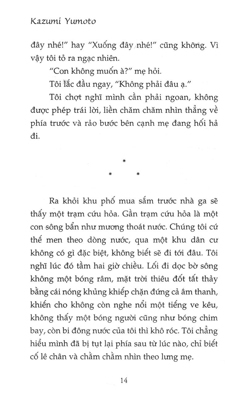 Mùa Thu Của Cây Dương