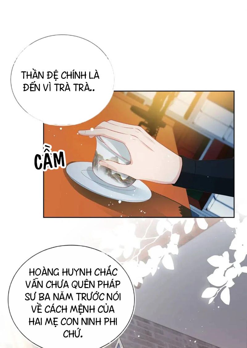 nhặt được bảo bối manh manh chapter 24 3