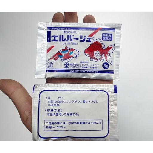 Tetra nhật xử lý nấm, kháng sinh cho cá cảnh