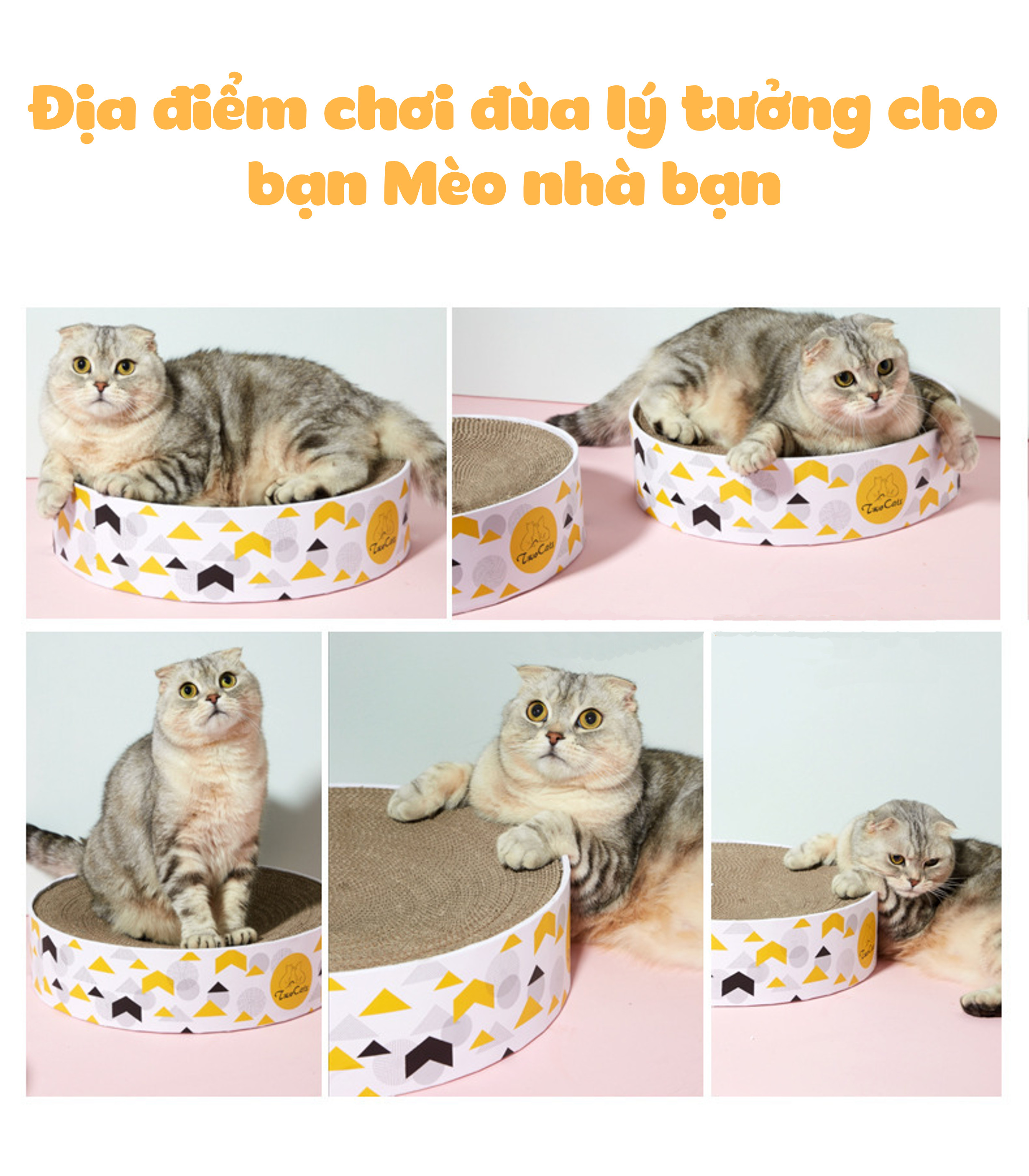 Bàn cào móng hình tròn cho mèo (tặng kèm catnip bạc hà) để các bé mèo cào móng, giảm stress, hạn chế phá đồ, cào hư đồ trong nhà, nằm ngủ, bàn cào móng mèo bìa catton