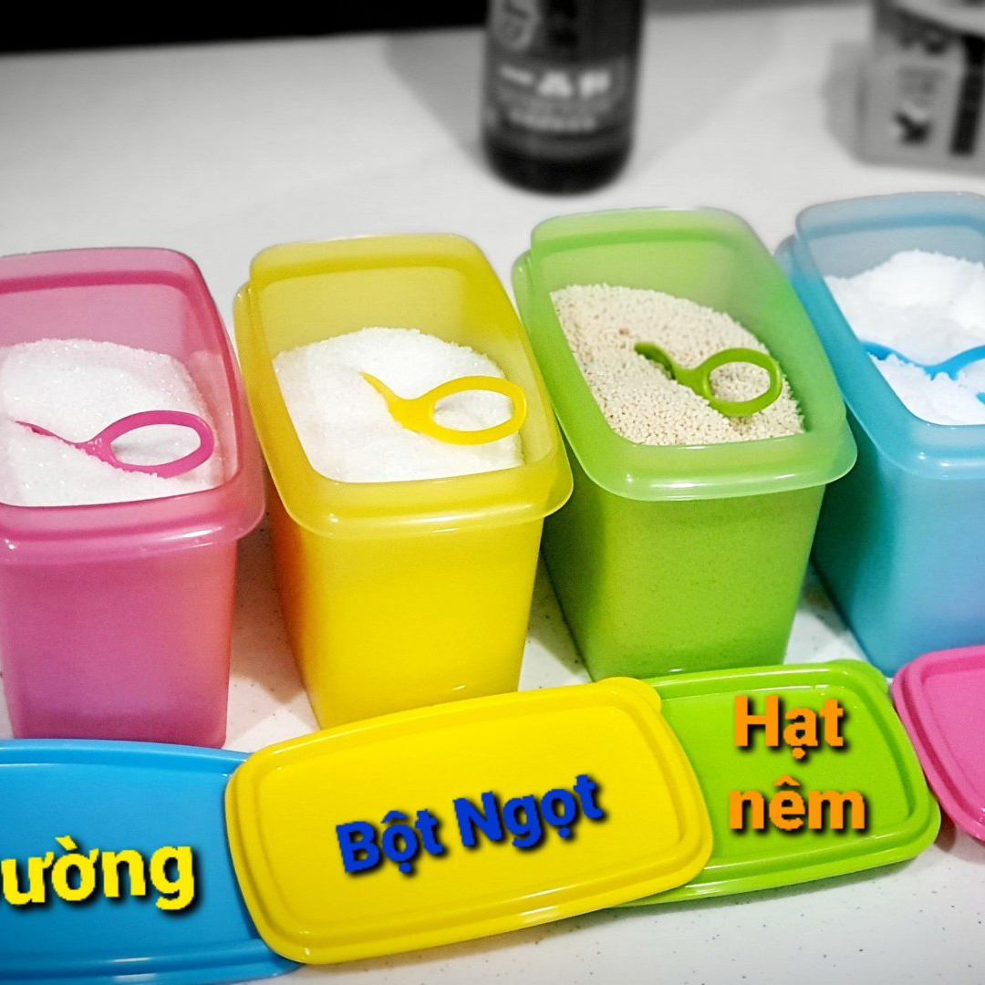 BỘ 4 HỘP GIA VỊ TUPPERWARE