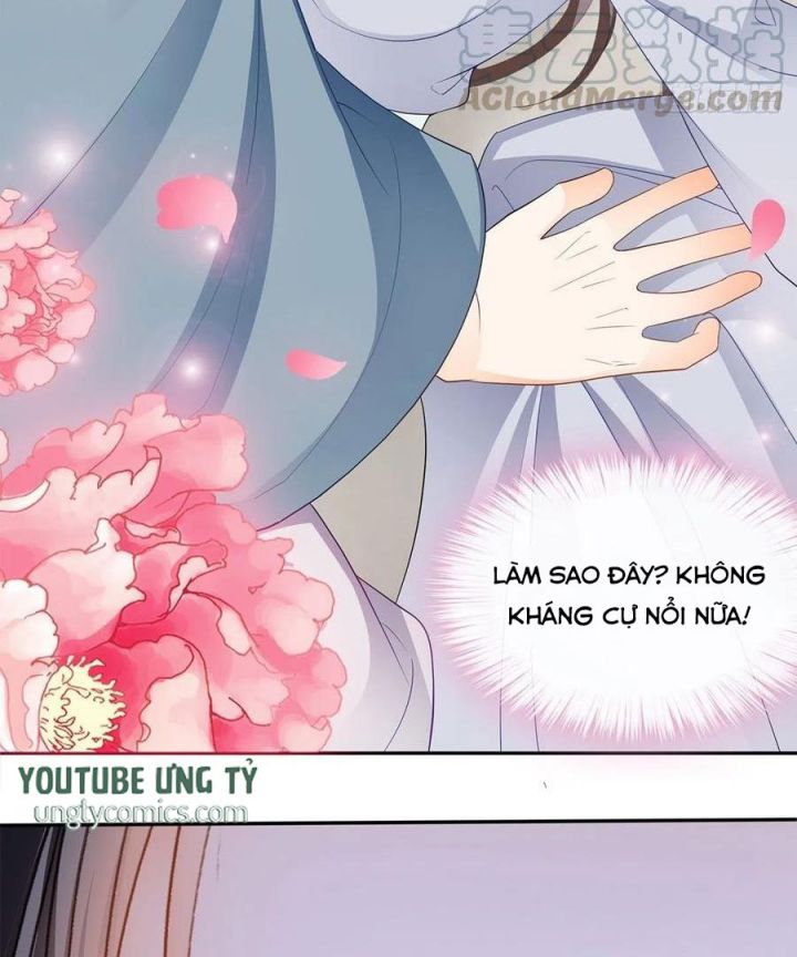 bổn vương muốn nàng chapter 47 14