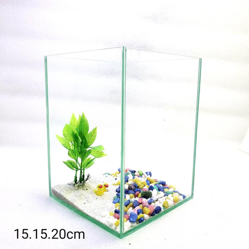 Bể cá mini - bể cá mini để bàn cao20cm - BCC20c