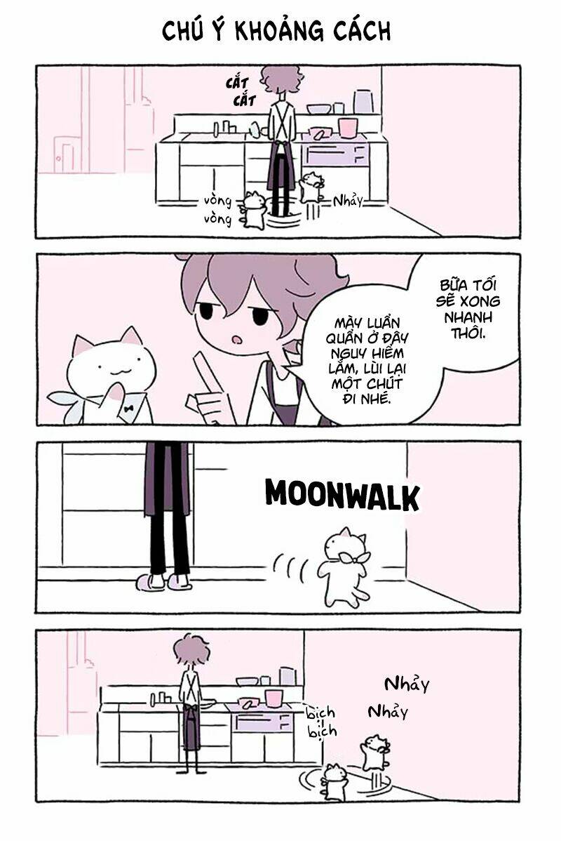 chú mèo kỳ diệu kyuu-chan chapter 577 2