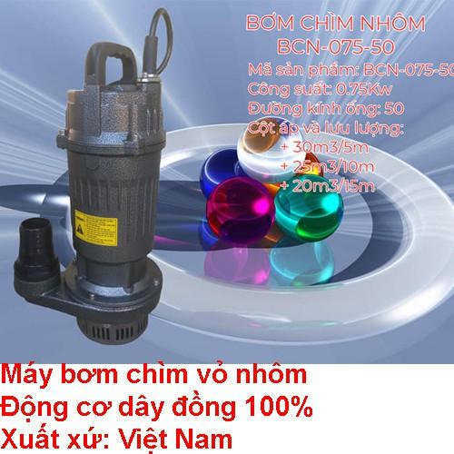 Máy bơm tõm - 750W