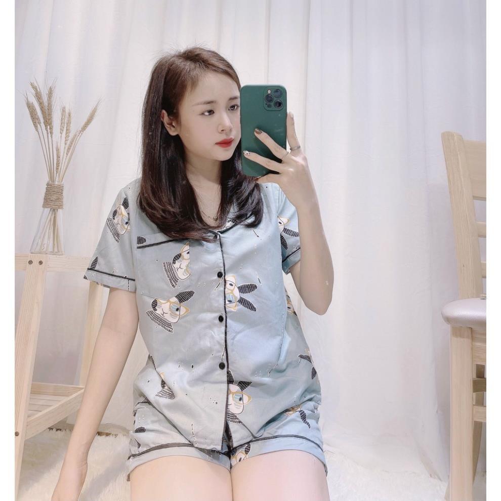 Bộ Cộc Pijama, Bộ Đồ Mặc Nhà Họa Tiết Hoạt Hình Siêu Cute