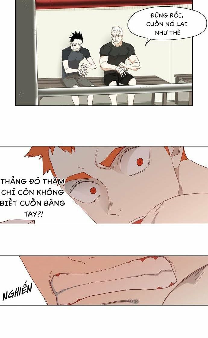 Võ Sĩ Quyền Anh chapter 12 17
