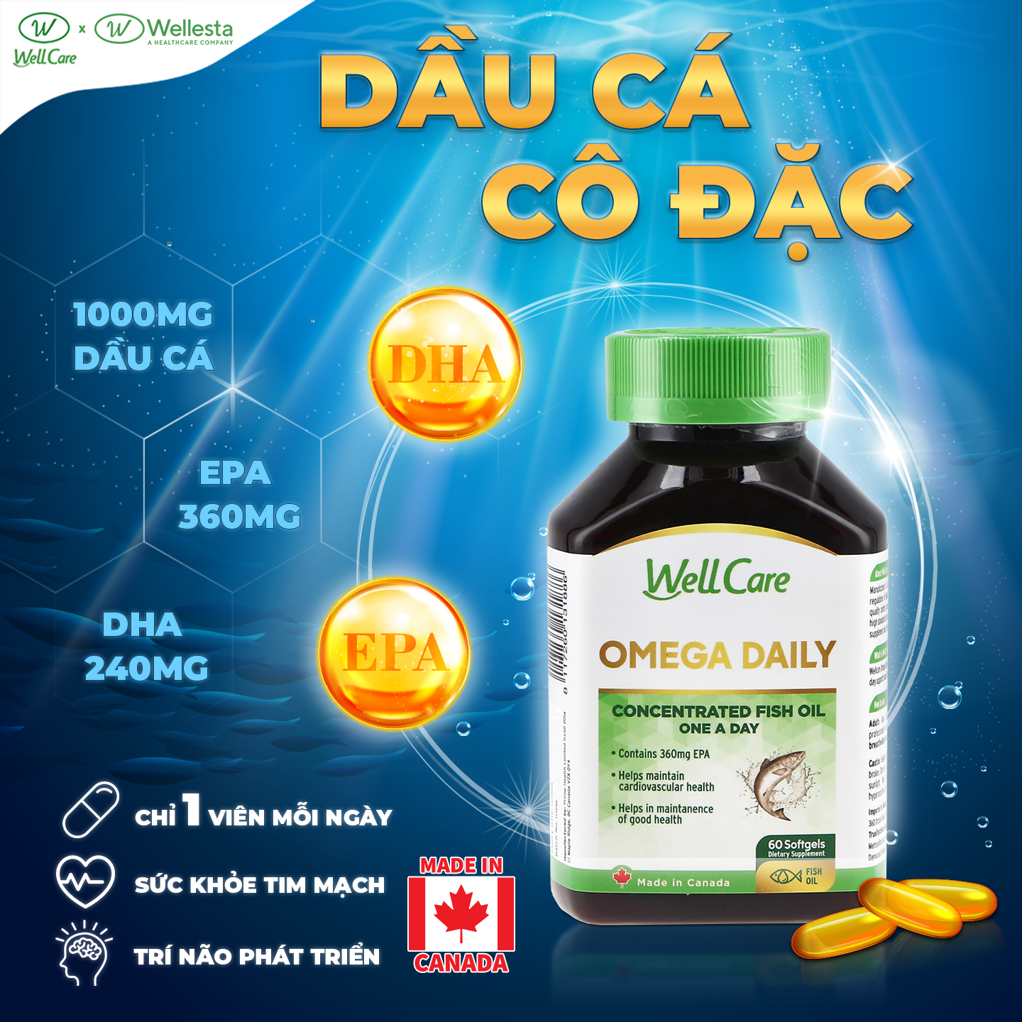Viên nang mềm OMEGA Daily Wellcare chứa dầu cá với hàm lượng DHA/ EPA cao hỗ trợ cho sự phát triền trí não, hệ thống tim mạch khỏe mạnh