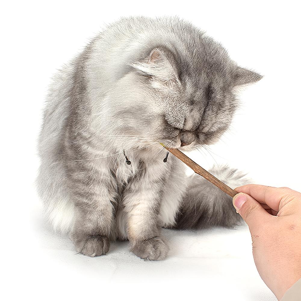 Thanh Gỗ Catnip Bạc Hà Cho Mèo Gặm Sạch Răng