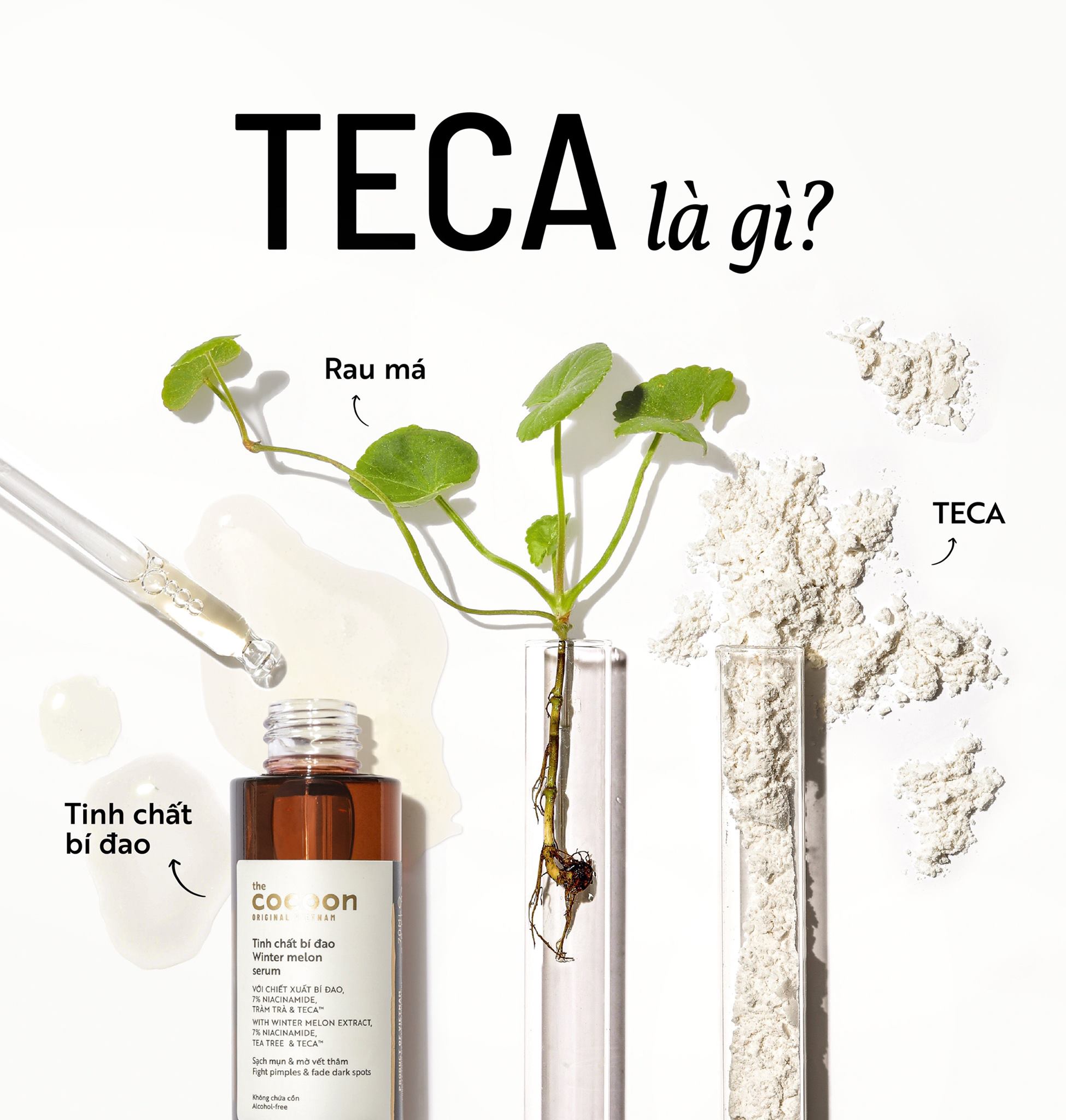 Tinh Chất Bí Đao Mờ Thâm 70mL Cocoon