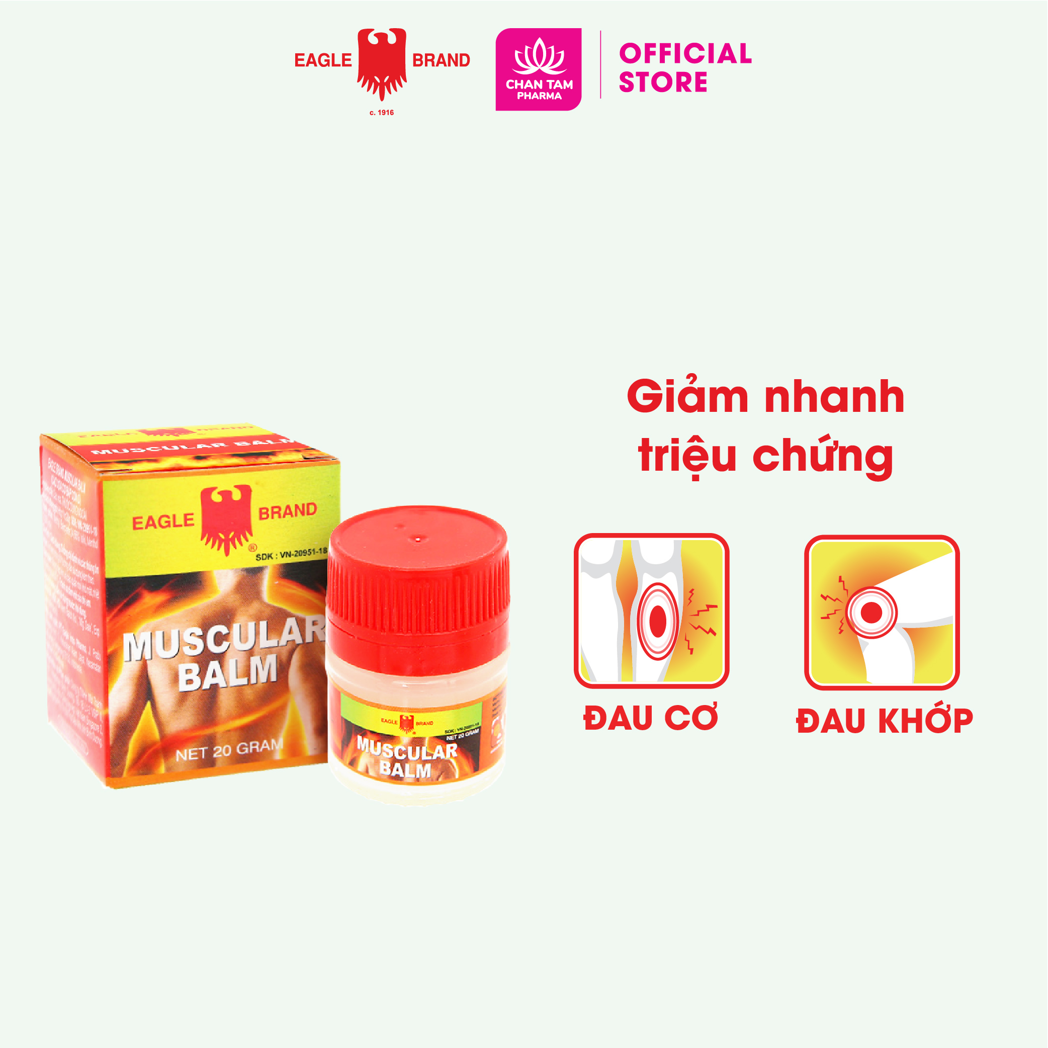 COMBO 3 LỌ 20G - Cao Xoa Cơ Bắp Con Ó - Muscular Balm 20G