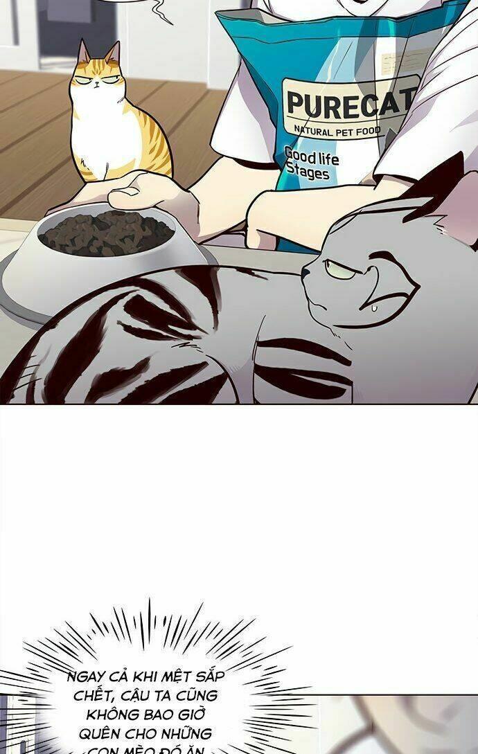 biến thân thành mèo chapter 22 26