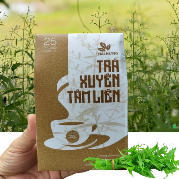 Trà Xuyên Tâm Liên THÁI HƯNG – hộp 25 túi lọc 5g – giúp  giảm ho, giảm sốt, tăng cường đề kháng, tăng cường miễn dịch, kháng khuẩn, chống viêm, thanh nhiệt, tiêu độc, hỗ trợ phòng ngừa các vấn đề về hô hấp do vi khuẩn, virut