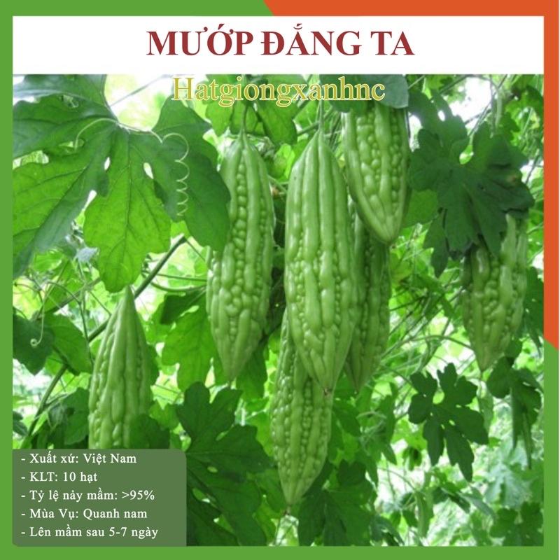Gói 10 Hạt giống mướp đắng xanh