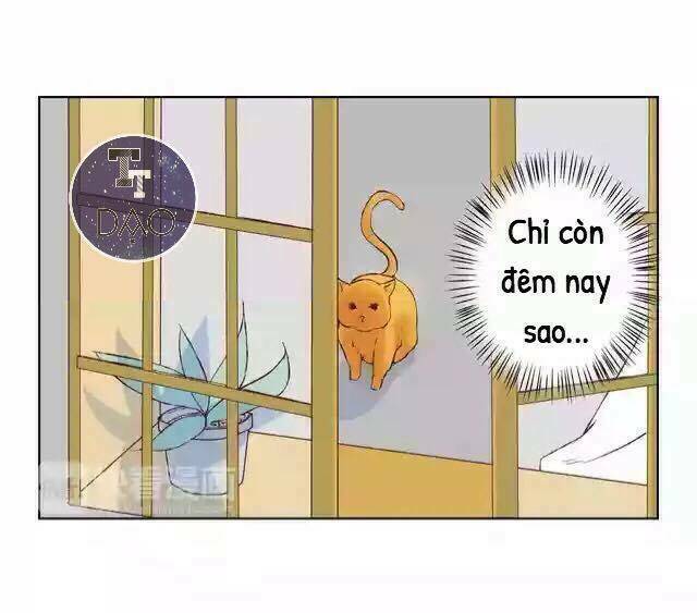 tôi không phải đa nhân cách chapter 17 15