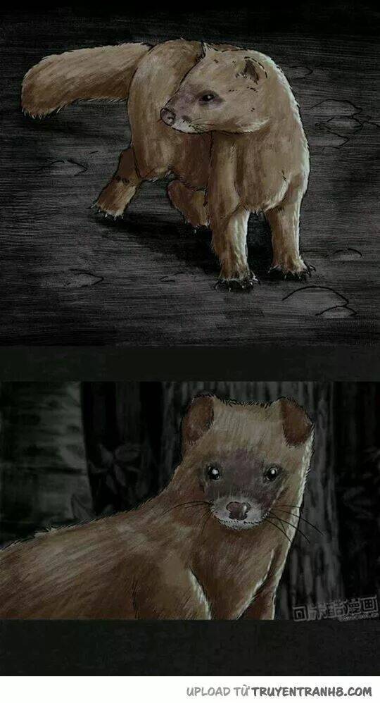 trấn thái bình chapter 11 91