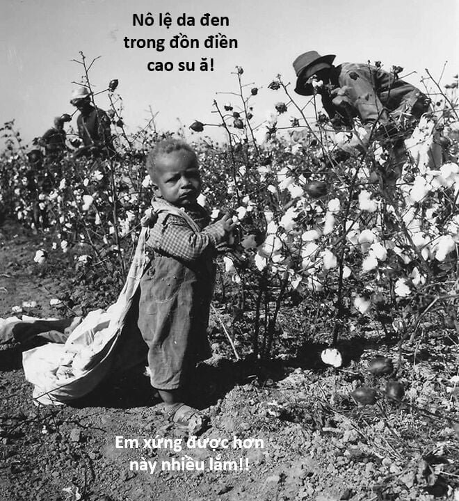 sự lụi tàn của usuzumi chapter 127 135