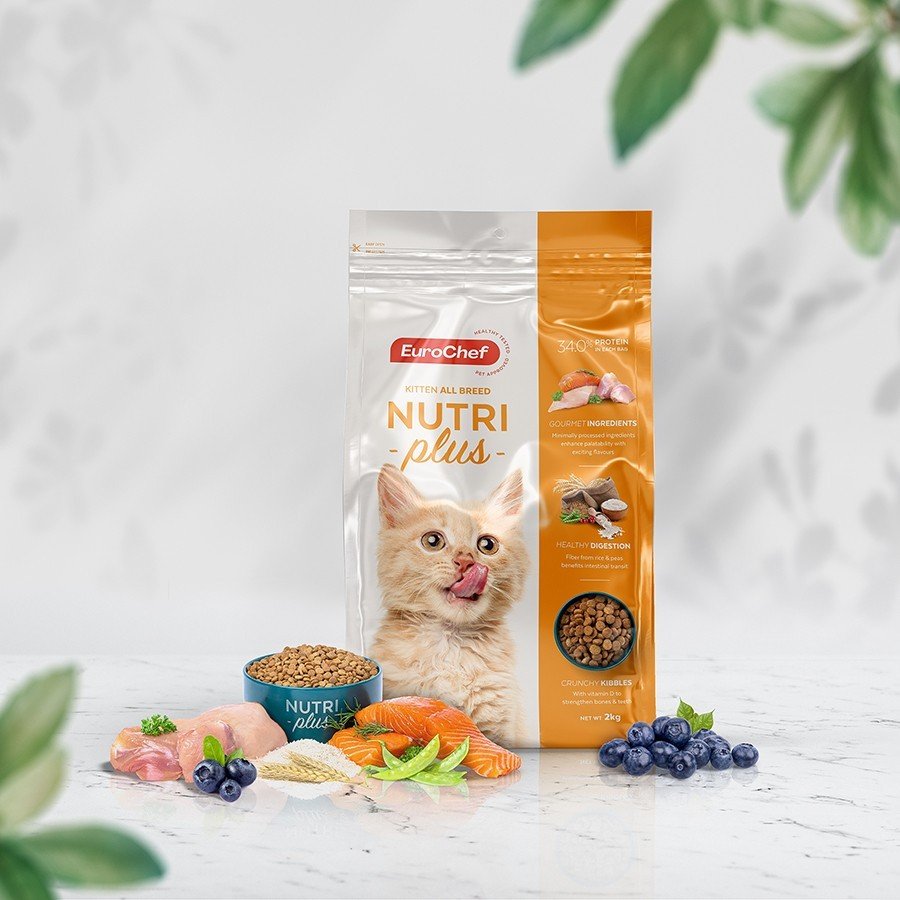 Thức Ăn Hạt Khô Cho Mèo Con EUROCHEF NUTRIPLUS KITTEN Túi 500g Và 2kg - YonaPetshop