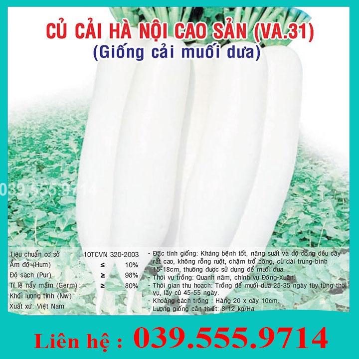 Hạt Giống Củ Cải Trắng 20gram - Củ Cải To Trắng, Giống Chuẩn