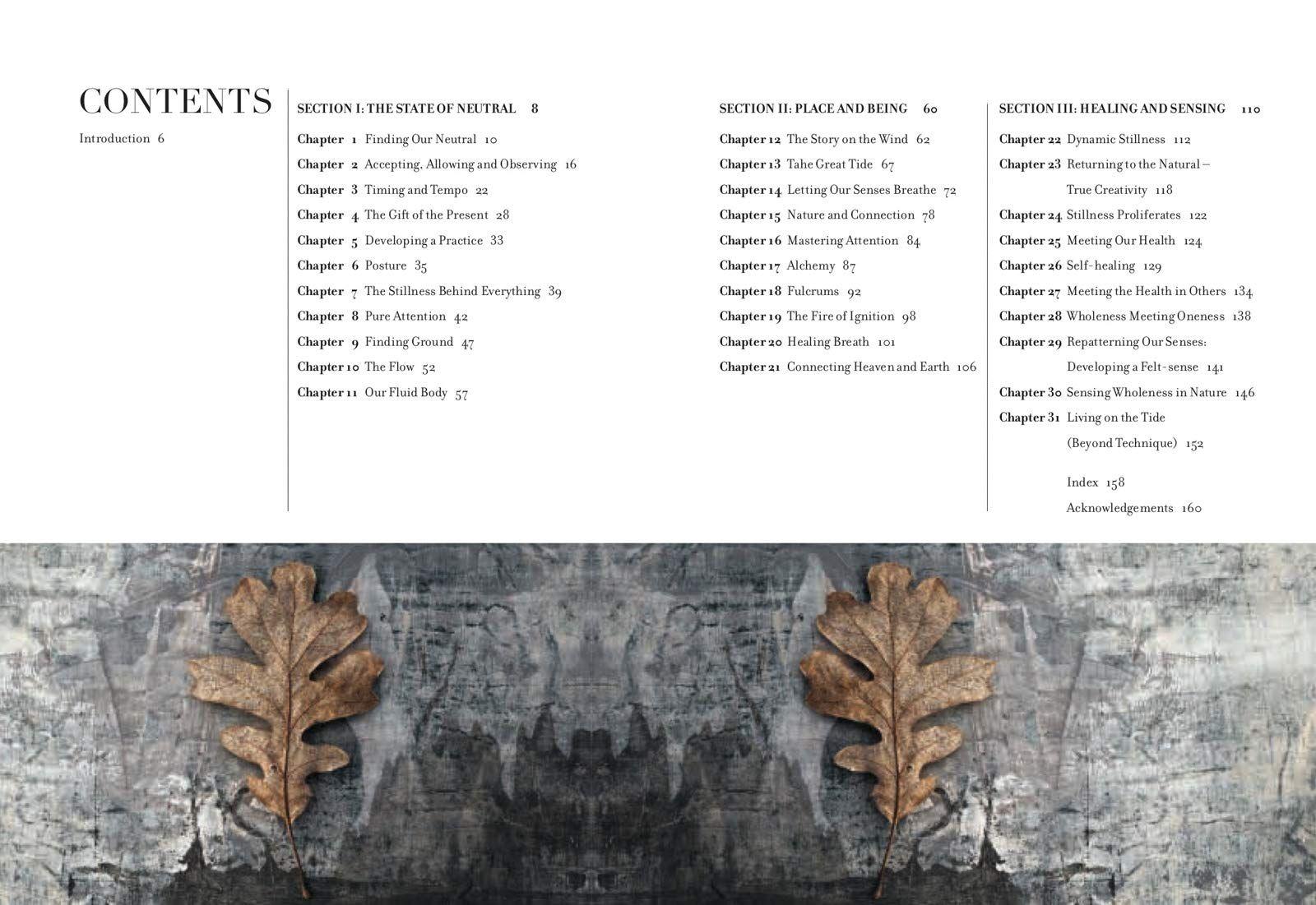 Sách - Dynamics of Stillness : Develop Your Senses and Reconnect with Nature Throu by Ian Wright