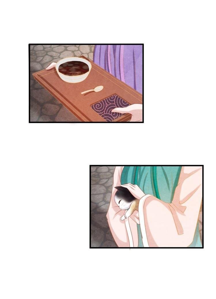 phượng hoàng chapter 4 7