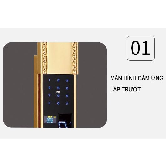 Khóa vân tay tân cổ điển Luxury MR4