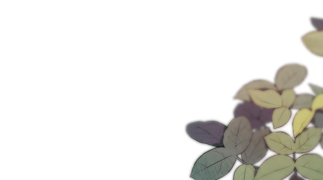 câu chuyện ngọt ngào của cặp vợ chồng đỉnh lưu chapter 70.1 3