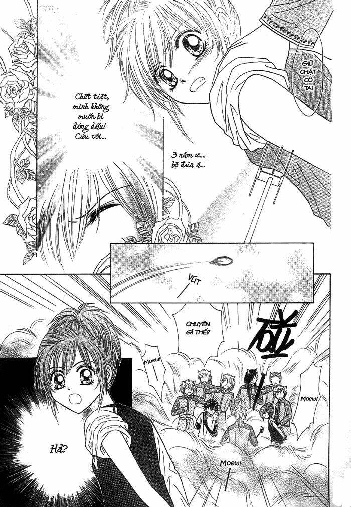 tổng hợp one shot. chapter 27 17