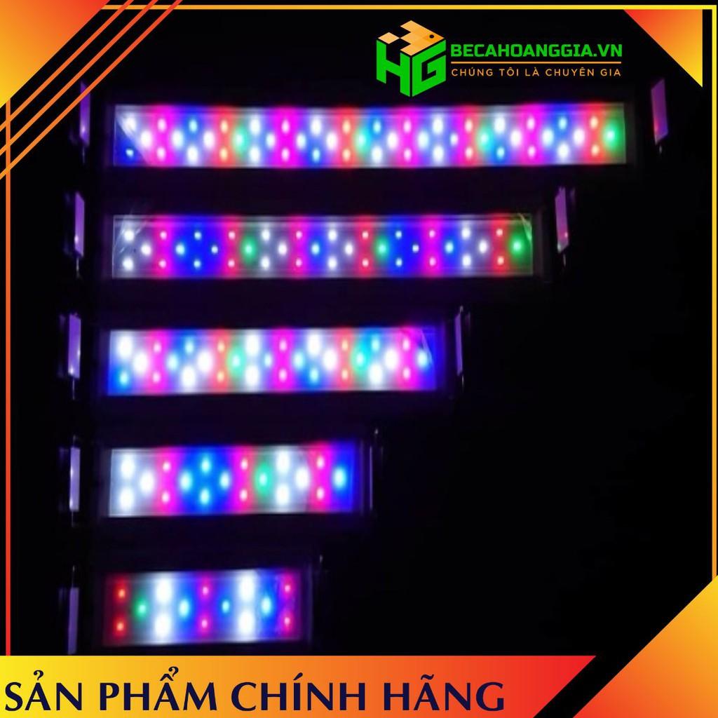Đèn Led 3 chế độ-4 màu mix
