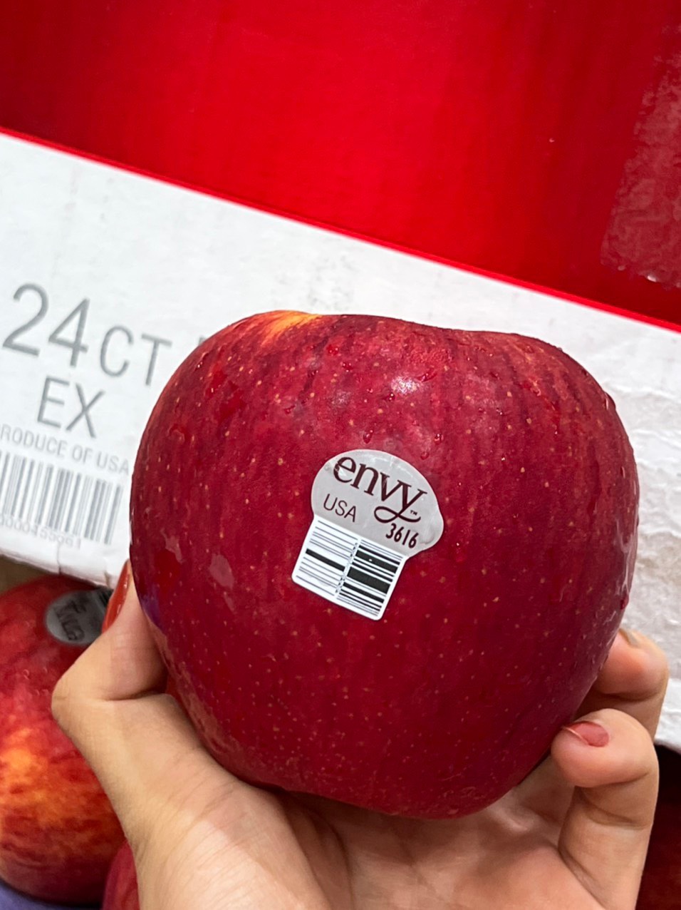 TÁO ENVY MỸ SIZE 100 - 06 TRÁI/1KG