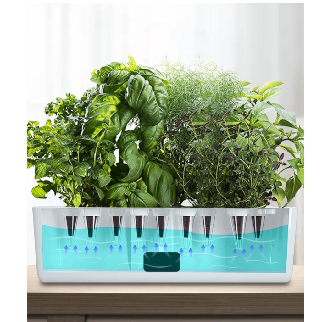 Máy Nảy Mầm Gốc Nhanh Smart Cultivation