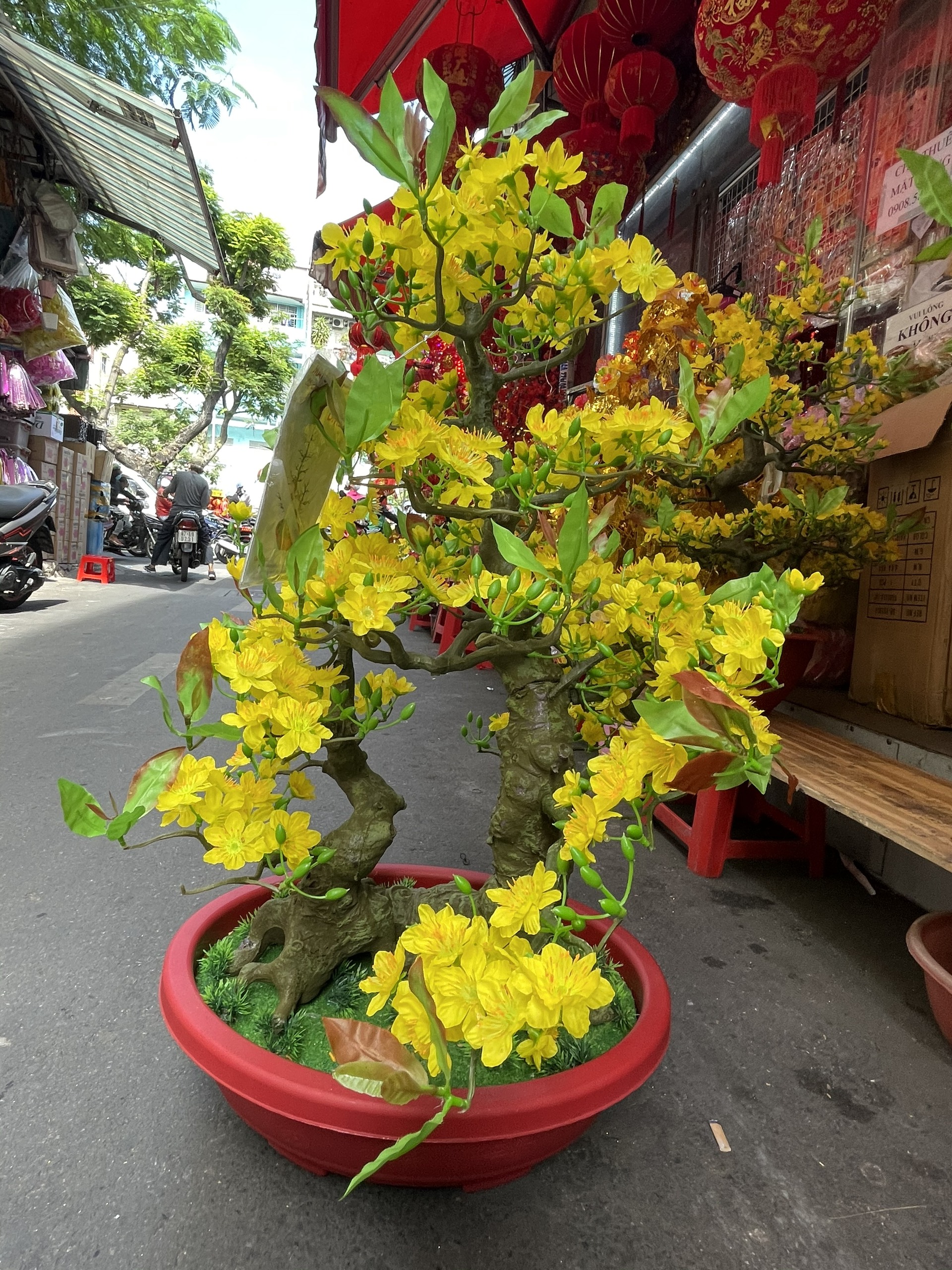 Cây Hoa Mai Bonsai Nhựa Cao 92 cm Hoa Mai Trang Trí Tết