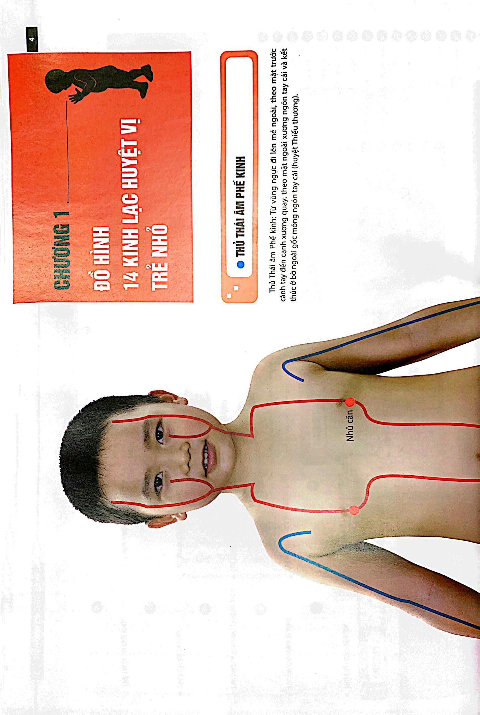 Đồ Giải Kinh Lạc Huyệt Vị - Trẻ Em