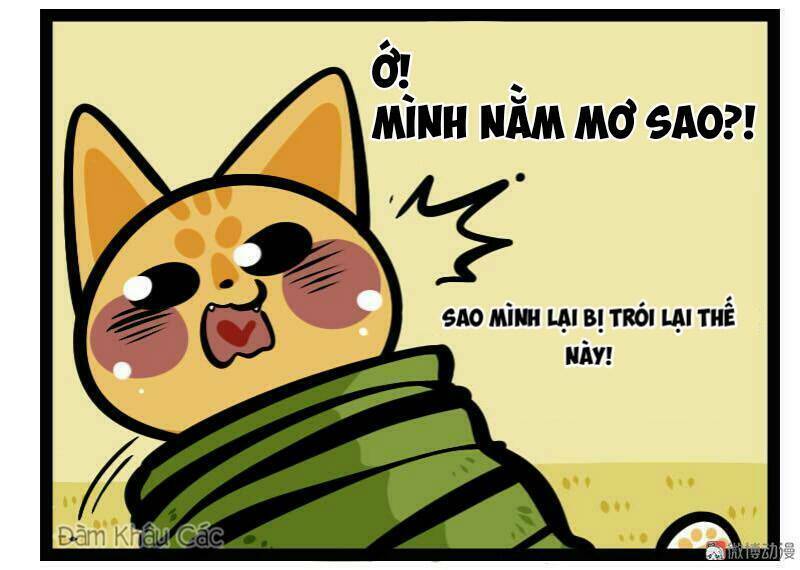 đời không như mình tưởng chapter 65 10