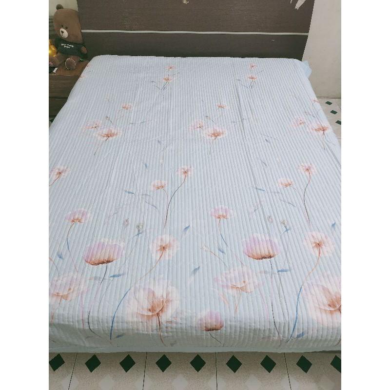 Chăn hè trần bông chất liệu cotton cao cấp