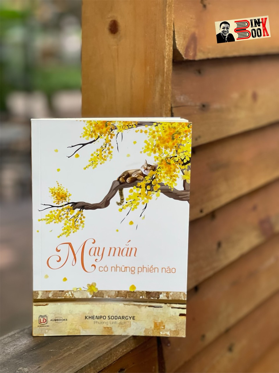MAY MẮN CÓ NHỮNG PHIỀN NÃO - Khenpo Sodargye - Thuận Minh dịch -  Achaubooks – NXB Lao Động