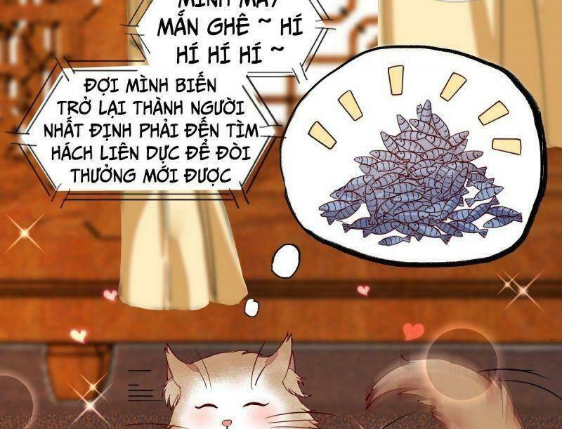 sát thủ vương phi không dễ chọc chapter 33 25