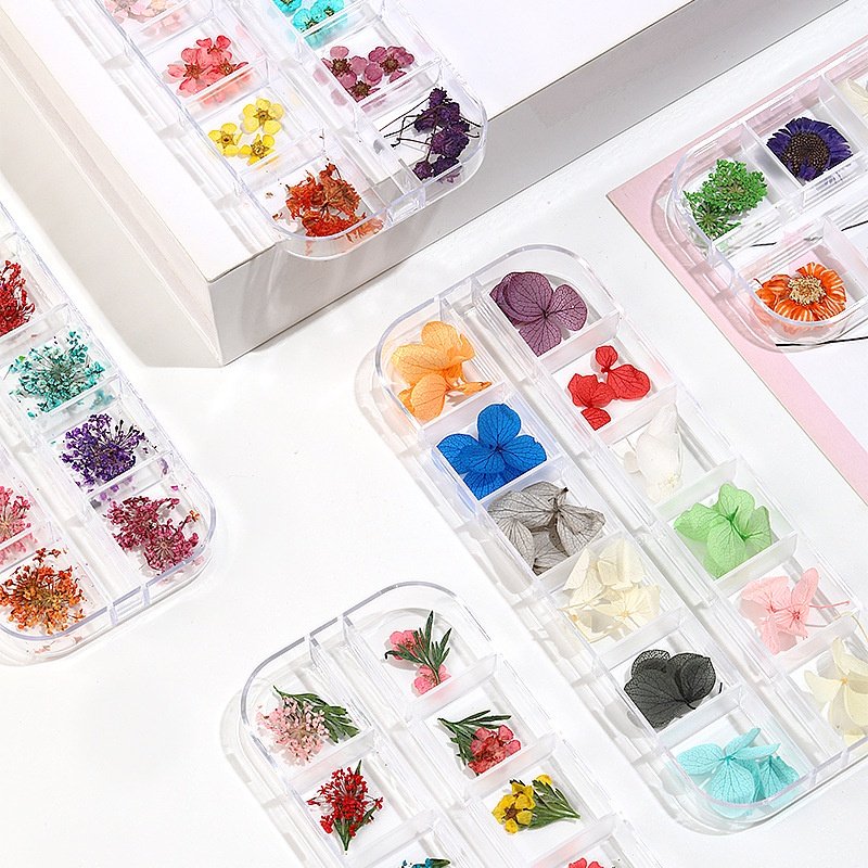 Hoa Khô Nail Dán Móng Tay, Set 12 Màu, Cánh Hoa To Và Mỏng Đắp Ẩn Theo Phong Cách Hàn Nhật