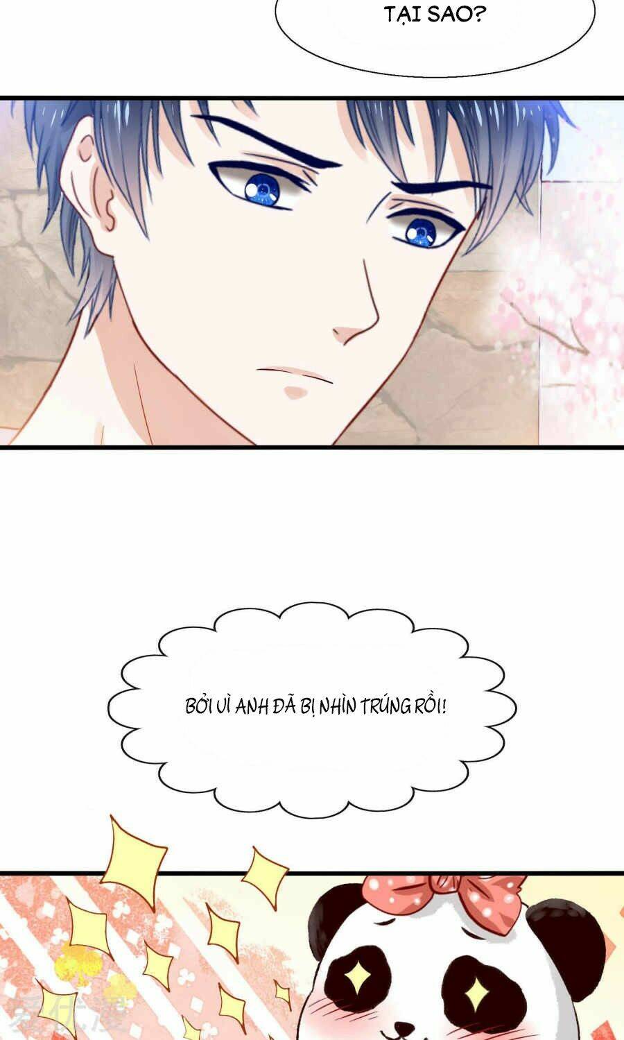 tôi bị gấu trúc nhìn trúng rồi chapter 1 10