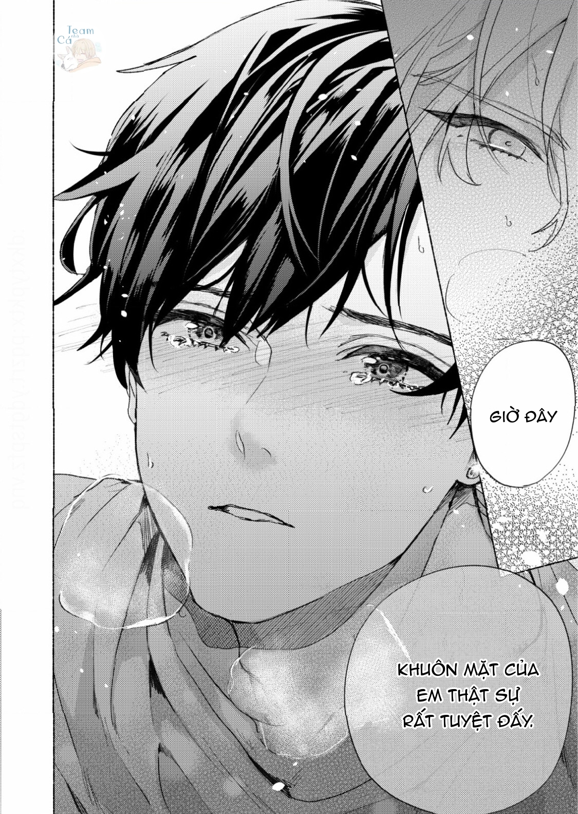 kiss me crying chapter 1 24