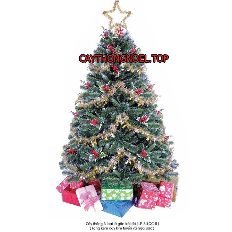 Cây thông noel 3 loại lá gắn trái đỏ 1m8