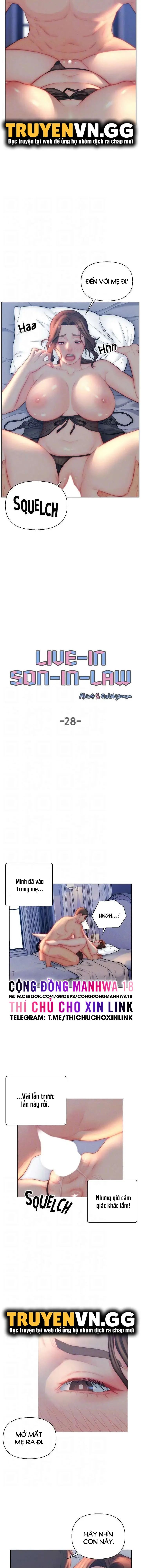 con rể yêu chapter 28 4