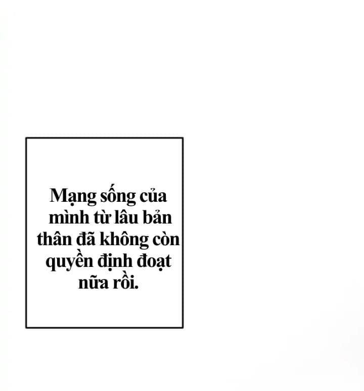 ebony, quạ đen chapter 4 6