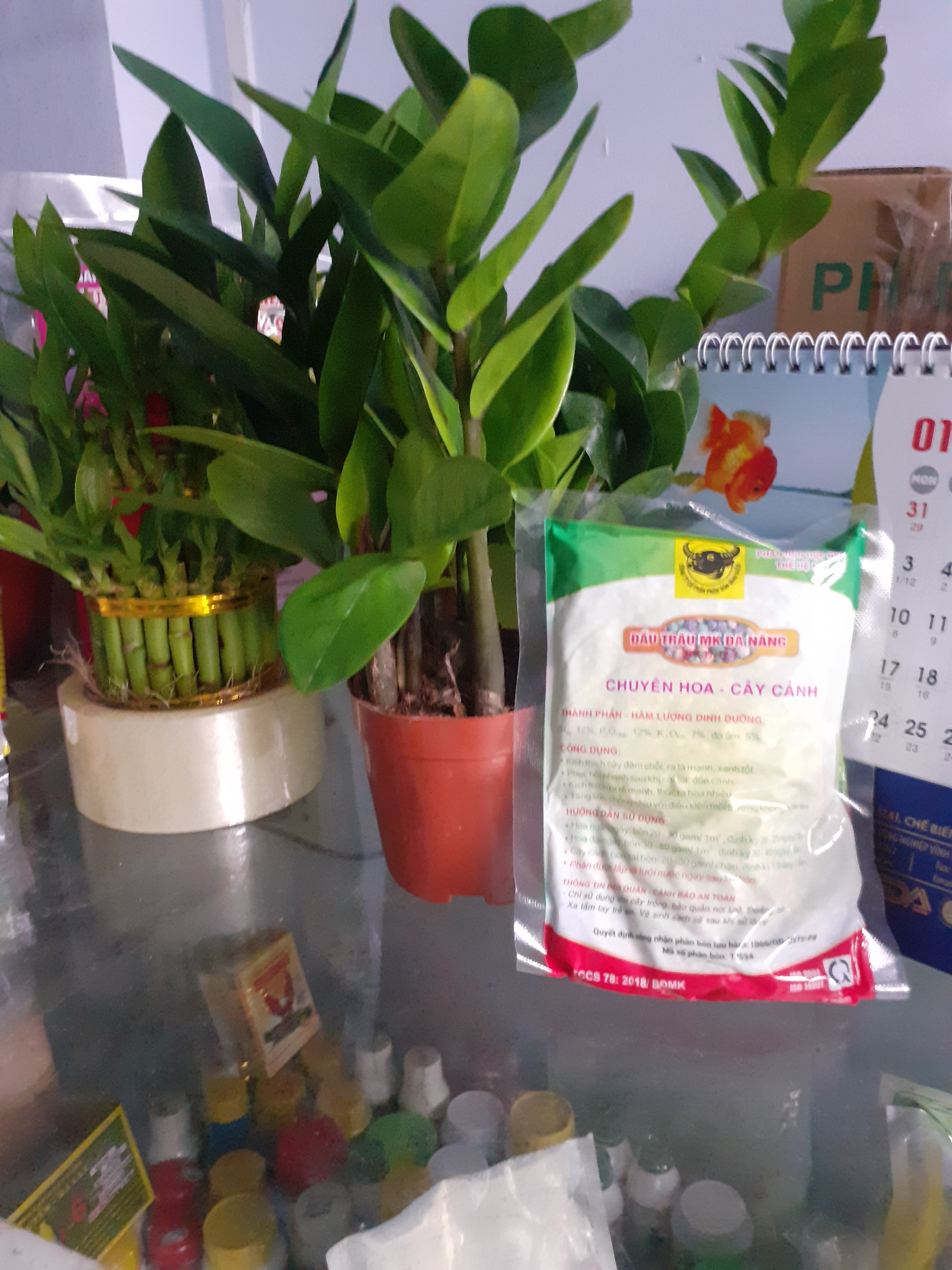 Chuyên hoa cây cảnh đầu trâu đa năng npk 17-12-7